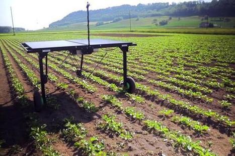 This weed-killing AI robot can tell crops apart | e.cloud | Scoop.it