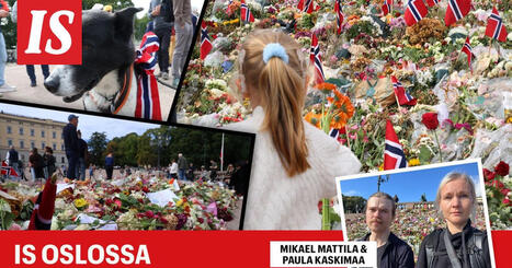 Kuningas Harald haudataan &ndash; IS seuraa | A1Uutiset | Scoop.it