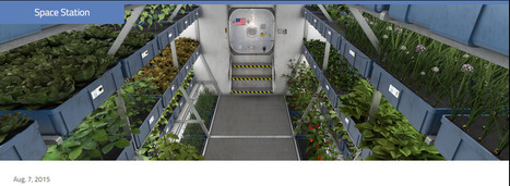 Crew Members Sample Leafy Greens Grown on Space Station | 21st Century Innovative Technologies and Developments as also discoveries, curiosity ( insolite)... | Scoop.it