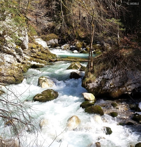Le Parc naturel r&eacute;gional de Chartreuse, soucieux de pr&eacute;server ses rivi&egrave;res d&rsquo;exception&hellip; | Biodiversit&eacute; | Scoop.it