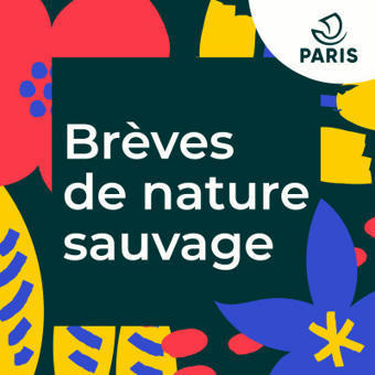 [Podcast] Brèves de Nature Sauvage : Saisons 1 à 3 | Insect Archive | Scoop.it