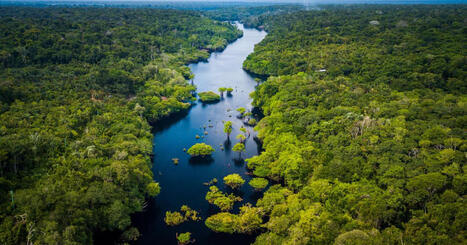 Avant la COP17 en Arm&eacute;nie sur la biodiversit&eacute;, le monde &laquo;n&rsquo;est pas sur la bonne voie&raquo; pour tenir ses engagements - Le Figaro | Biodiversit&eacute; | Scoop.it