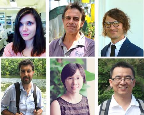 Recognizing featured Plant Cell first authors, July 2017 | The Plant Cell | Scoop.it