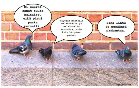 Oppitorin fraasisanakirja | 1Uutiset - Lukemisen tähden | Scoop.it