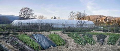 Vers une &eacute;conomie de mara&icirc;chers | Innovation sociale | Scoop.it