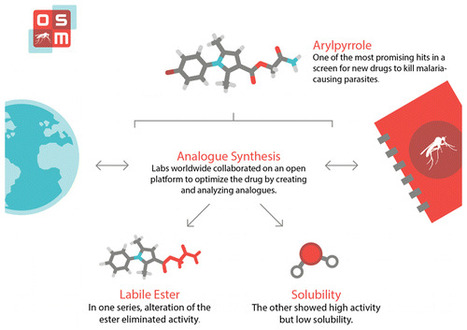 Open Source Drug Discovery: Highly Potent Antimalarial Compounds Derived from the Tres Cantos Arylpyrroles | Natural Products Chemistry Breaking News | Scoop.it
