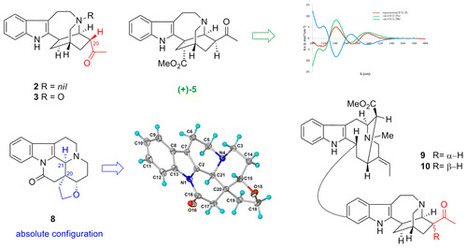 Ibogan, Aspidosperman, Vincamine, and Bisindole Alkaloids from a Malayan Tabernaemontana corymbosa: Iboga Alkaloids with C-20α Substitution | Natural Products Chemistry Breaking News | Scoop.it