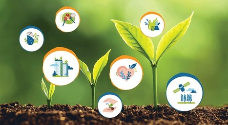 Concours V&eacute;g&eacute;polys Valley : appel aux start-up - Angers d&eacute;veloppement | Pour innover en agriculture | Scoop.it