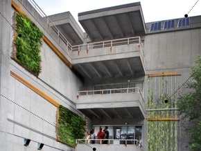 Universit&agrave; di Washington, edificio con orto verticale | Edifici Ecosostenibili e Biocompatibili | Scoop.it