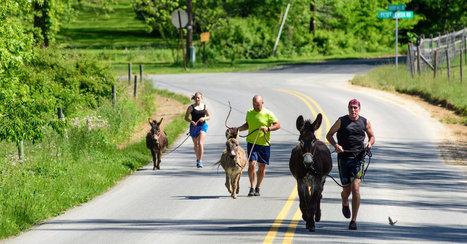 Running With the Herd | Physical and Mental Health - Exercise, Fitness and Activity | Scoop.it