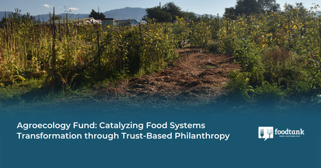 Agroecology Fund: catalyzing food systems transformation through trust-based philanthropy | Questions de développement ... | Scoop.it