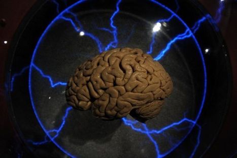 Eric Sadin : «Le cerveau ne pourra jamais être réduit à des grilles de données» | Libertés Numériques | Scoop.it
