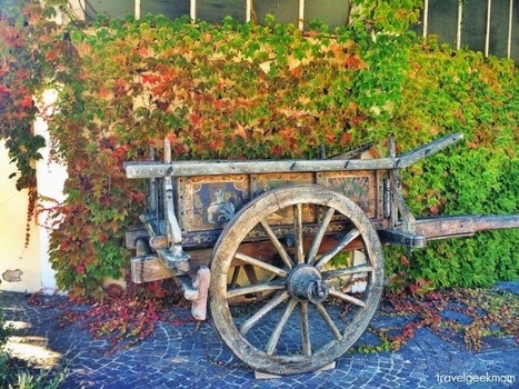 In giro per cantine a Cupramontana | Good Things From Italy - Le Cose Buone d'Italia | Scoop.it