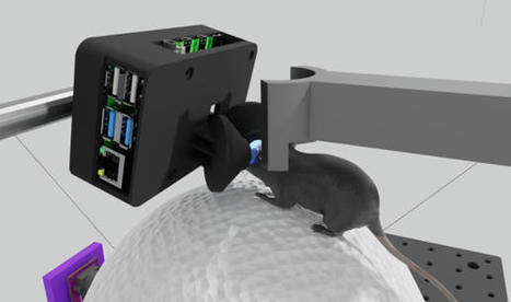Check Out This Tiny VR Headset Designed For Mice | Imagine Online International Education | Scoop.it
