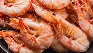 FRANCE : Visite de la première ferme de gambas à grande échelle en aquaponie  | EUROPES | Scoop.it
