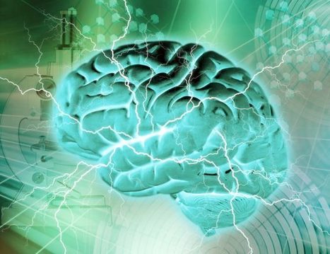 Neuroplasticity: The 10 Fundamentals Of Rewiring Your Brain | Linguistics & Language Neurology | Scoop.it
