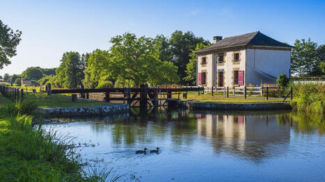 Biodiversit&eacute; : le gouvernement veut mieux prot&eacute;ger les berges des rivi&egrave;res avec un nouveau plan - France info | Biodiversit&eacute; | Scoop.it