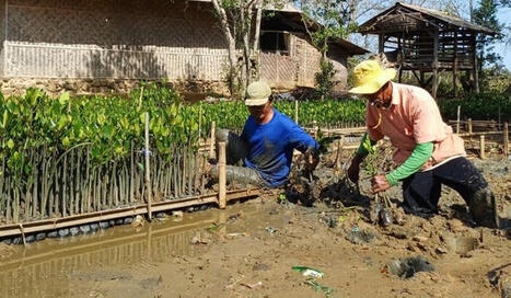 Philanthropie climatique, un nouvel outil de contribution | Planète DDurable | Scoop.it