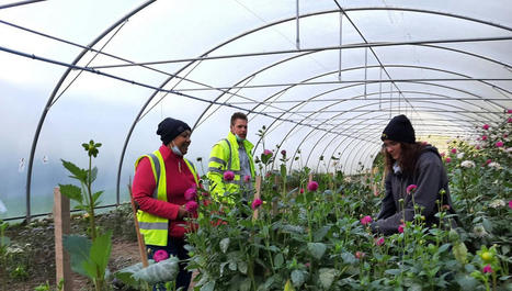 Des fleurs locales et solidaires - France Inter | Pour innover en agriculture | Scoop.it