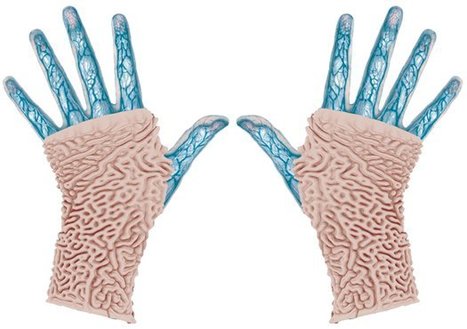 Bio-Armor: Printing Protective Plates From Patterns In Nature | Biomimicry 3.8 | Scoop.it