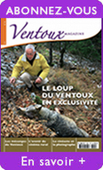 Actualité de Ventoux Magazine - Le Loup à la "Une" du dernier numéro de Ventoux-Magazine | Pastoralisme Ours Loups Lynx | Scoop.it