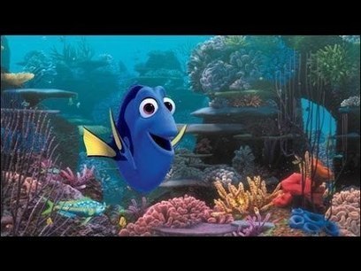 Finding Nemo Mp4 Movie Free Download In Hindi