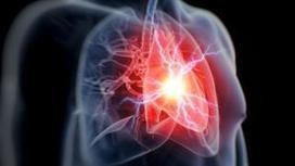 'Instant' blood test for heart attacks | Research | Medicine | 21st Century Innovative Technologies and Developments as also discoveries, curiosity ( insolite)... | Scoop.it