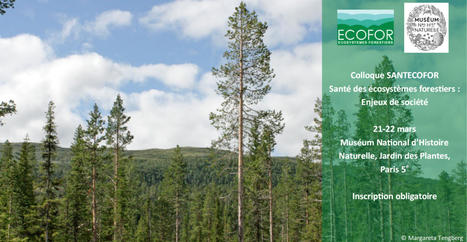 21-22 mars 2023 – Colloque "SANTECOFOR – Santé des écosystèmes forestiers : Enjeux de société" | Forêt, Bois, Milieux naturels : Interactions Enseignement supérieur - Organisations - Recherche | Scoop.it