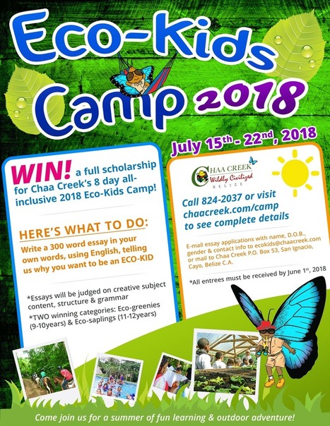 Belize Eco Kids Summer Camp 2018 | Cayo Scoop!  The Ecology of Cayo Culture | Scoop.it