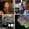 The Creative Mind