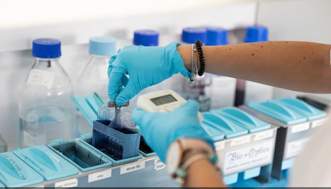 T&eacute;moignages Don de gam&egrave;tes : &laquo;C&rsquo;est aussi pour savoir que j&rsquo;ai fait quelque chose de beau dans ma vie&raquo; | Bio&eacute;thique & Procr&eacute;ation | Scoop.it