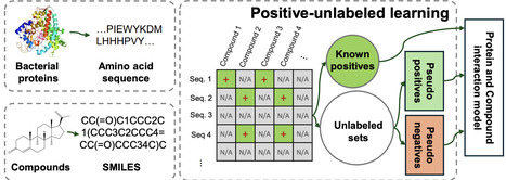 Prediction of bacterial protein-compound interactions with only positive samples | bft | RMH | Scoop.it