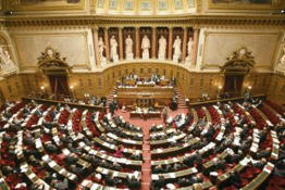 Sécurité globale : l'expérimentation police municipale remaniée au Sénat | Veille juridique du CDG13 | Scoop.it