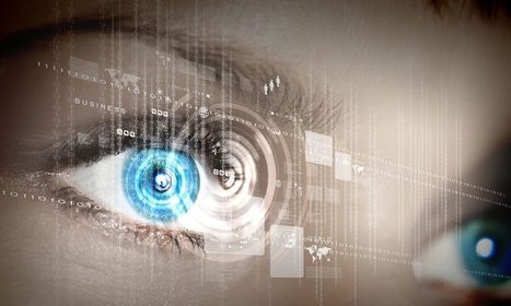 Warning: TSA Facial Recognition Plan Likely to Become Part of Growing Biometric Surveillance System | Iris Scans and Biometrics | Scoop.it