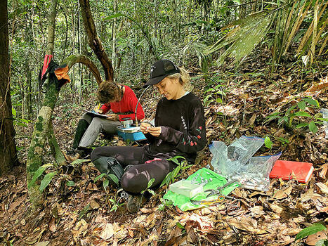 Why the Amazon's ability to make its own rain matters more than ever | RAINFOREST EXPLORER | Scoop.it