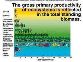 Extremophiles Are Key, Or Archaea | Dr. Goulu | Scoop.it