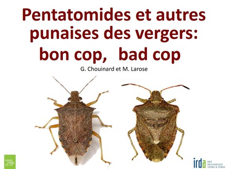 Une source fiable sur l’agriculture et l’agroalimentaire : Agri-Réseau, un site collaboratif | Insect Archive | Scoop.it