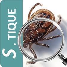 Maladie de Lyme : si vous êtes piqué par une tique, ne la jetez pas (tout de suite) | Variétés entomologiques | Scoop.it
