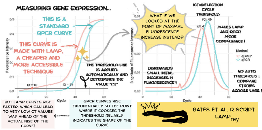 LAMPrey: a standardised method for analysing qu...