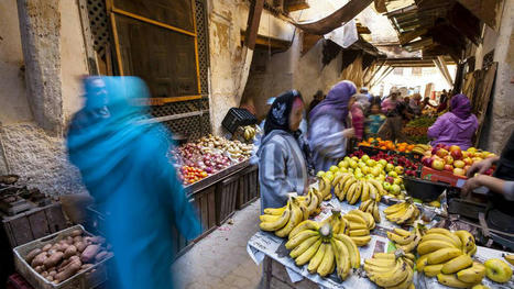 MENA economies set for fastest expansion since 2016 but growth is uneven, World Bank says | MED-Amin network | Scoop.it