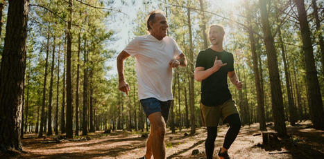 What are heart rate zones, and how can you incorporate them into your exercise routine? | Physical and Mental Health - Exercise, Fitness and Activity | Scoop.it