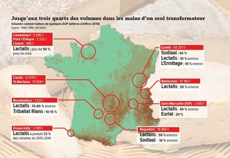 Fromages AOP : Contrôlés par les géants | Lait de Normandie... et d'ailleurs | Scoop.it