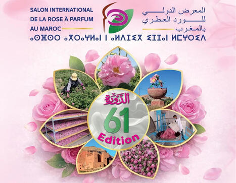 MAROC : Kel&acirc;at M&rsquo;Gouna pr&eacute;pare la 61e &eacute;dition du Salon international de la rose &agrave; parfum | CIHEAM Press Review | Scoop.it