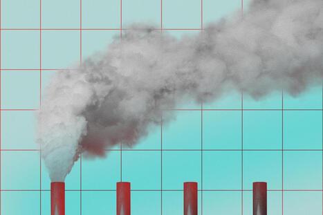 &laquo;&nbsp;La rh&eacute;torique du &ldquo;cancer backlash&rdquo; pr&eacute;sente de nombreuses analogies avec le climatoscepticisme&nbsp;&raquo; | EntomoScience | Scoop.it