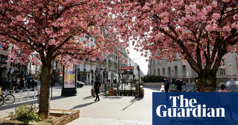 ‘We need trees’: green vision struggles to take root in Europe’s cities | Cities | The Guardian | Energy Transition in Europe | www.energy-cities.eu | Scoop.it
