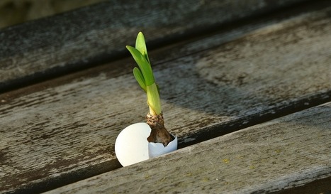 Growth mindset does not predict academic achievement, study finds | Leading Schools | Scoop.it