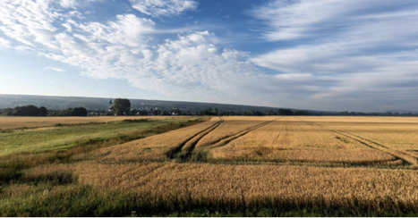 Nouvelle-Aquitaine - Appel à candidatures pour une agriculture économe en énergie | Paysage - Environnement | Scoop.it