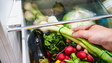 Gaspillage alimentaire&nbsp;: comment conserver ses aliments plus longtemps&nbsp;? - ICI | Attitude BIO | Scoop.it