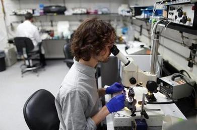 Report suggests higher pay, better mentoring for postdocs - Boston Globe | Notebook or My Personal Learning Network | Scoop.it