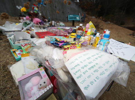 Child abuse rises again as political issue after death of toddler - KoreaHerald.com | Operation Phobos | Scoop.it